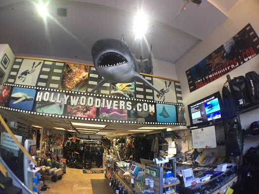 Hollywood Divers