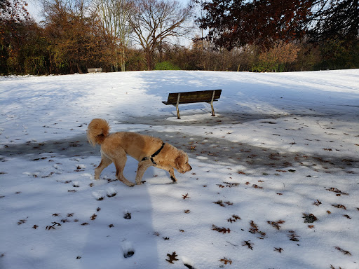 Park «Paws Place Dog Park», reviews and photos, Broadfield Rd, New Rochelle, NY 10804, USA