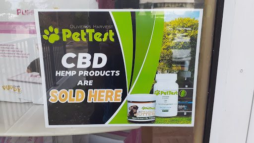 Pet Store «South Beach Pet Shop», reviews and photos, 634 6th St, Miami Beach, FL 33139, USA