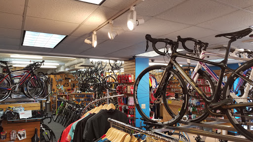 Bicycle Store «All-Star Bike Shops», reviews and photos, 1218 Ridge Rd, Raleigh, NC 27607, USA