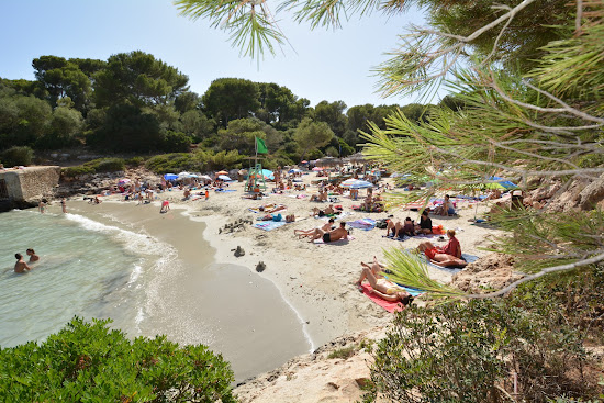 Παραλία Cala Sa Nau