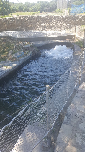 Public Golf Course «Landa Park Golf Course at Comal Springs», reviews and photos, 180 Golf Course Rd, New Braunfels, TX 78130, USA