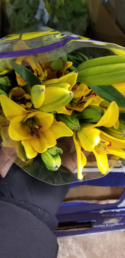 Florist «Sieck-Wright Floral Products», reviews and photos, 231 Monmouth St, Hightstown, NJ 08520, USA