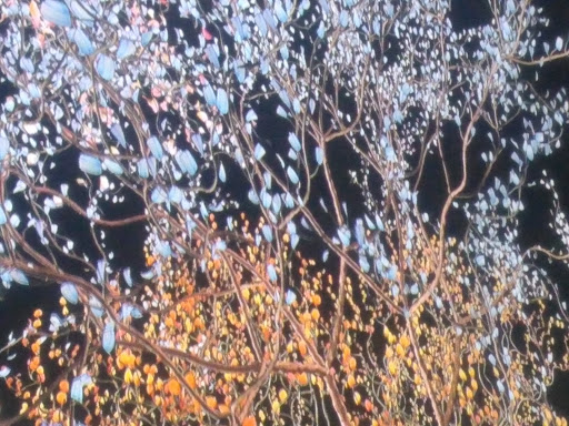 Art Museum «Museum of Arts and Design (MAD)», reviews and photos, 2 Columbus Cir, New York, NY 10019, USA