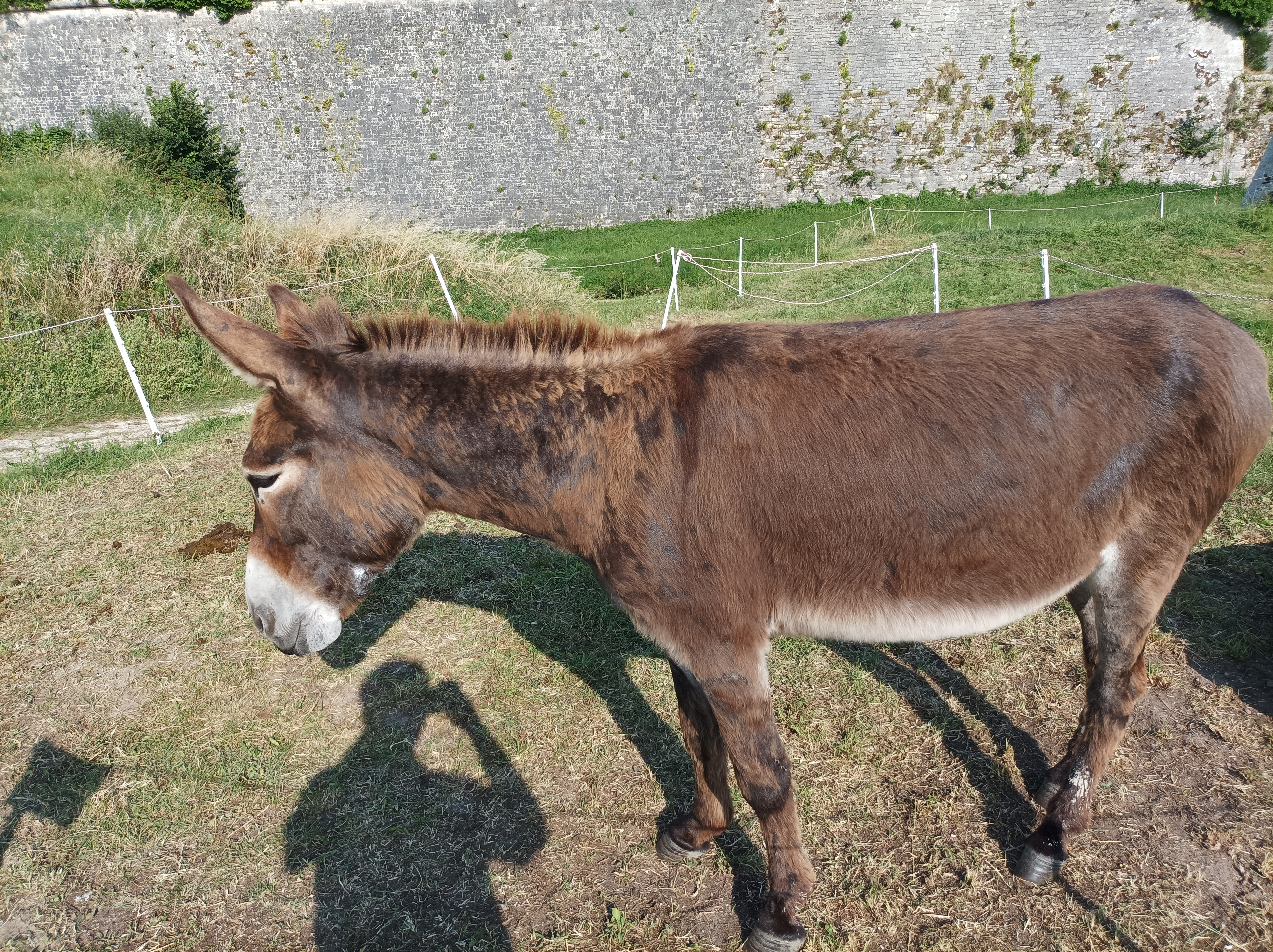 Photo n° 12 de l'avis de cedric.u fait le 31/07/2021 à 13:25