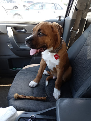 Pet Supply Store «Petco Animal Supplies», reviews and photos, 2277 Ford Pkwy, St Paul, MN 55116, USA