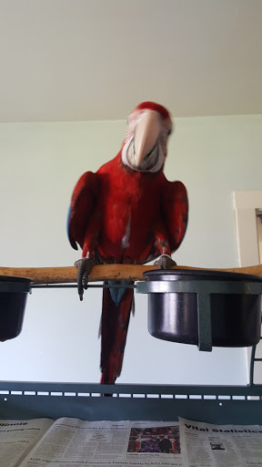 Pet Store «Tanks Pet Supply», reviews and photos, 628 S Main St, Princeton, IL 61356, USA