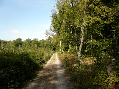 Le parcours nature de Lévignen à Lévignen