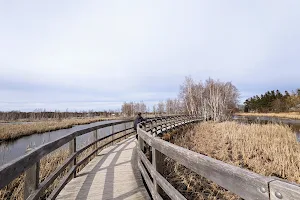 Sackville Waterfowl Park image