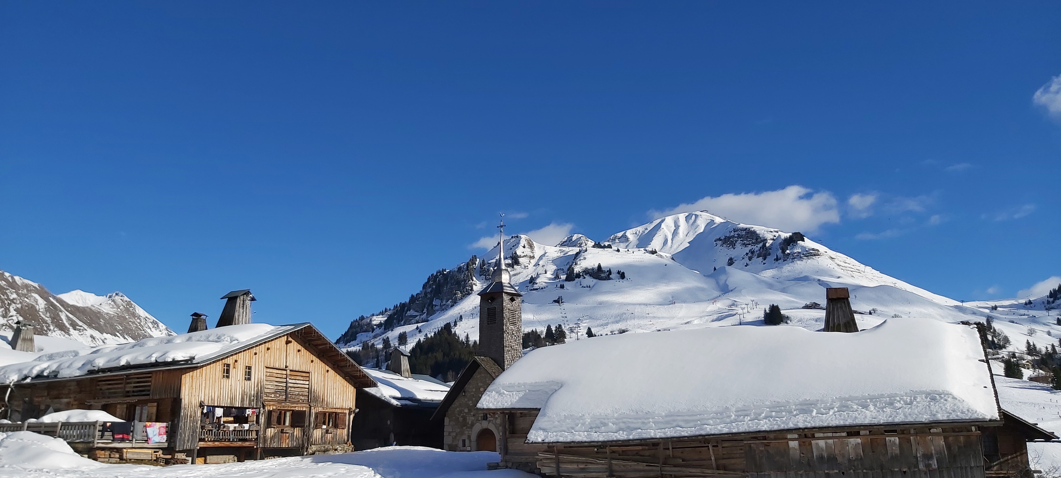 Photo n° 3 de l'avis de Francois.e fait le 06/02/2022 à 14:56