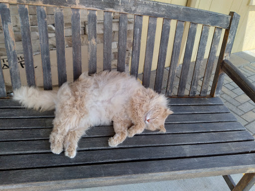 Tourist Attraction «Indiana Caverns», reviews and photos, 1267 Green Acres Dr SW, Corydon, IN 47112, USA