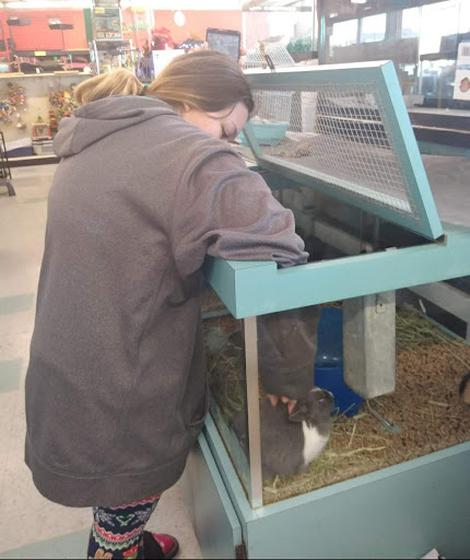 Pet Store «Leesburg Pet Center», reviews and photos, 959 N 14th St, Leesburg, FL 34748, USA