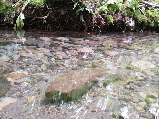 Park «Francis William Bird Park», reviews and photos, 251 Washington St, East Walpole, MA 02032, USA