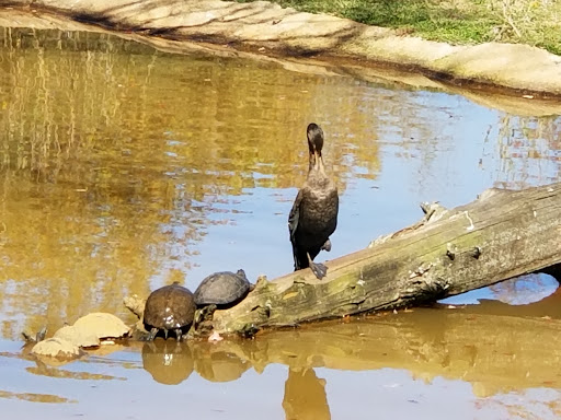 Zoo «Caldwell Zoo», reviews and photos, 2203 W Martin Luther King Jr Blvd, Tyler, TX 75702, USA