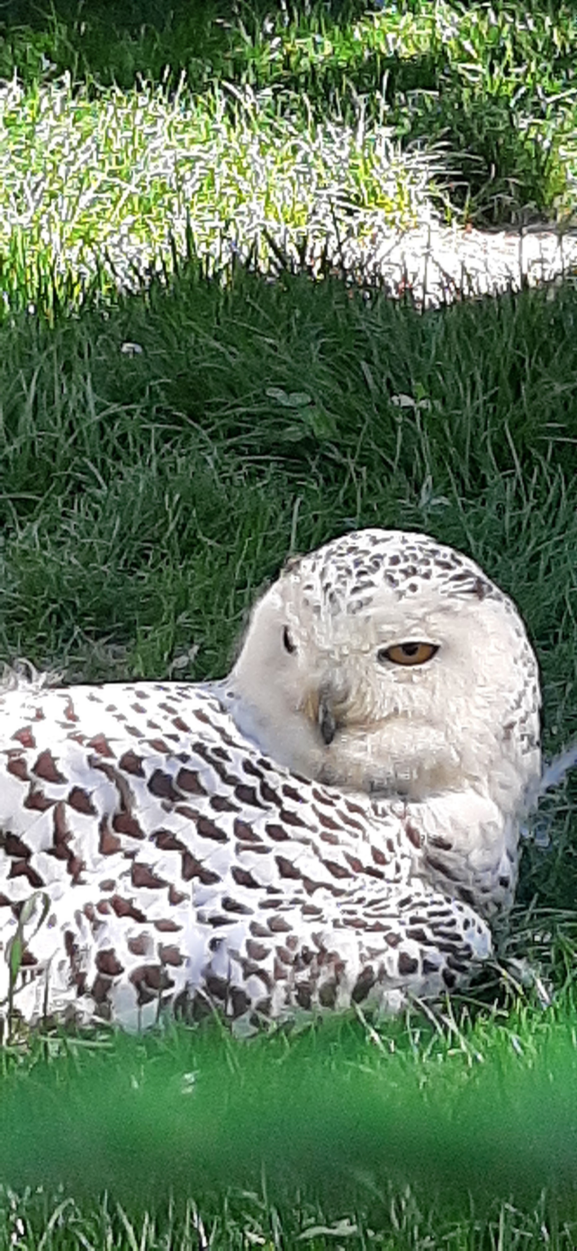 Photo n° 13 de l'avis de Thierry.a fait le 12/06/2023 à 20:21