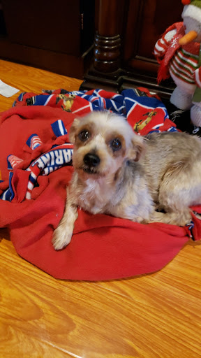 Pet Supply Store «Petco Animal Supplies», reviews and photos, 12601 Towne Center Dr, Cerritos, CA 90703, USA