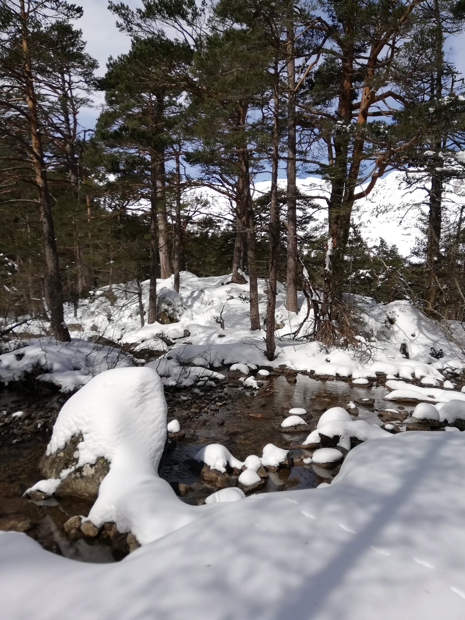 Photo n° 2 de l'avis de Philippe.m fait le 21/03/2020 à 10:31