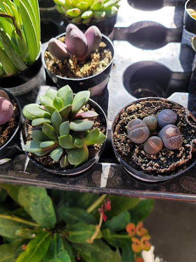 Home Improvement Store «The Home Depot», reviews and photos, 2600 41st Ave, Soquel, CA 95073, USA