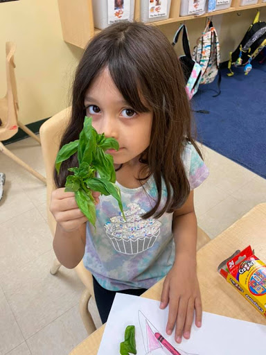 Preschool «Kiddie Academy of Ashburn», reviews and photos, 20775 Century Corner Dr, Ashburn, VA 20147, USA