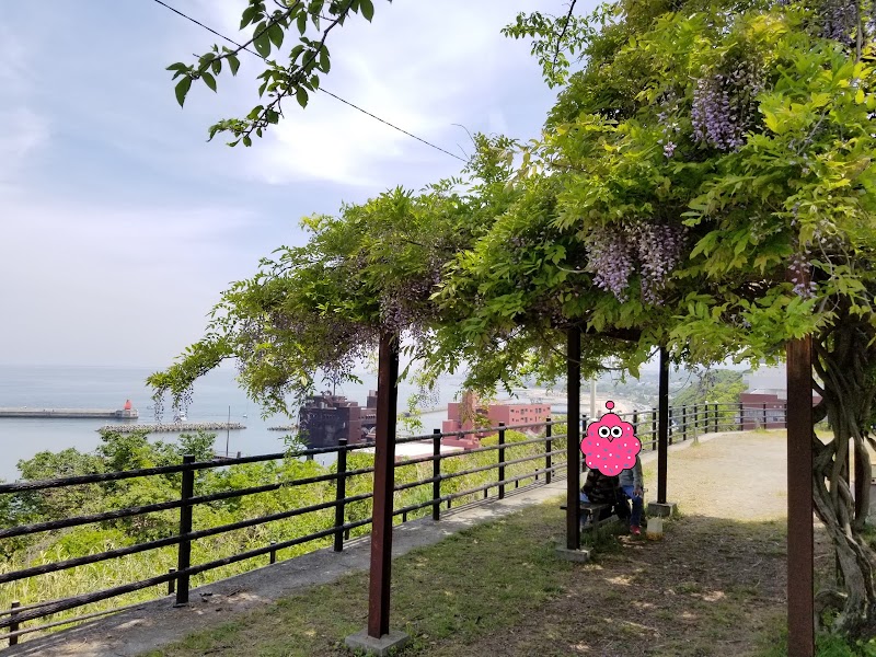 淡輪遊園 大阪府岬町淡輪 公園 公園 グルコミ