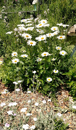 Nature Preserve «Meigs Point Nature Center», reviews and photos, 1288 Boston Post Rd, Madison, CT 06443, USA