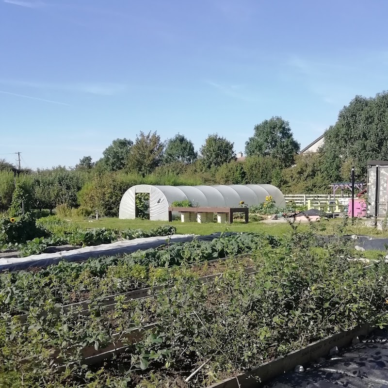 Ballinfoile Mór Community Garden