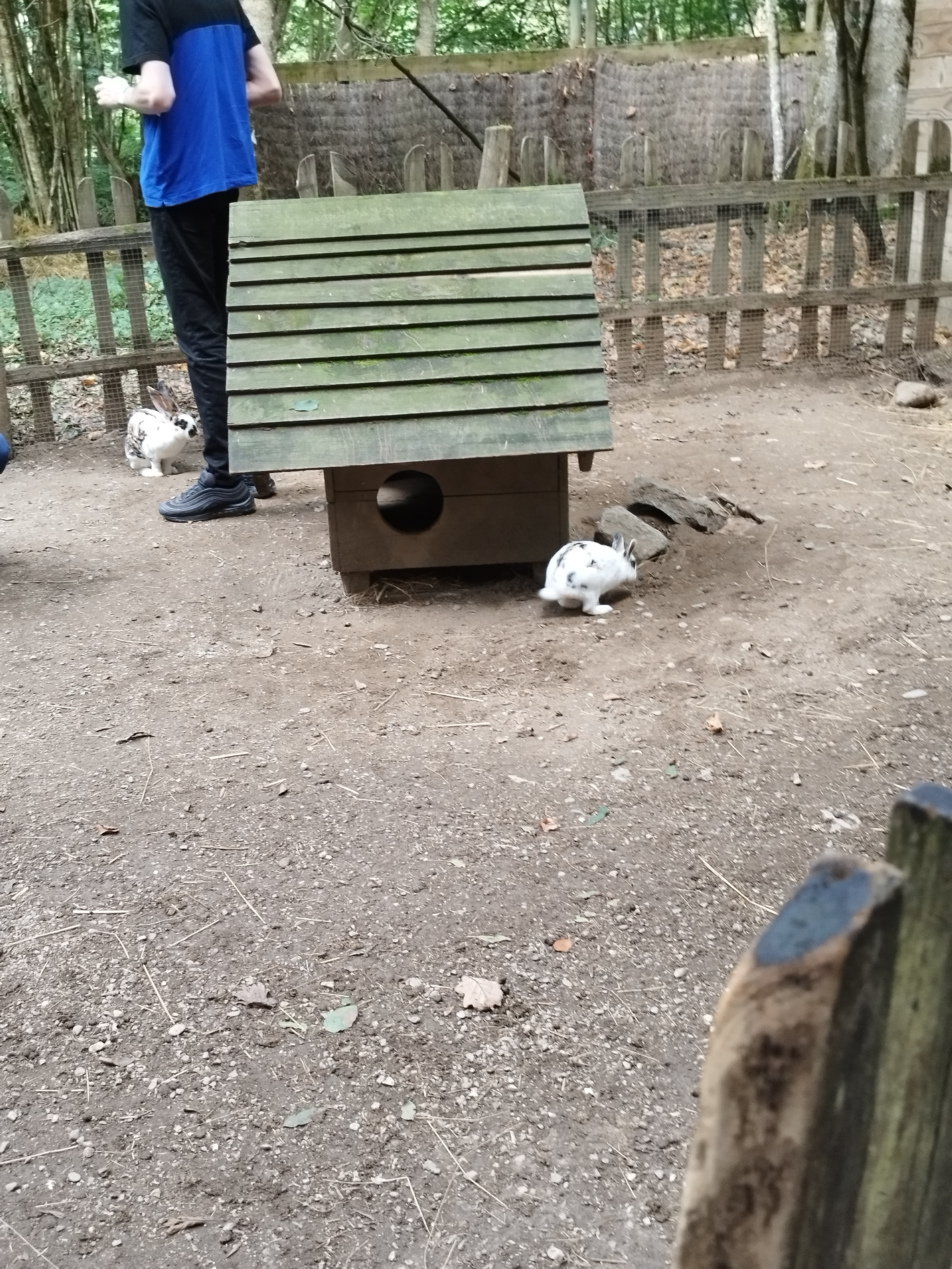 Photo n° 4 de l'avis de sandra.a fait le 20/09/2023 à 17:47