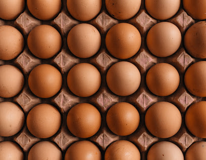 Proveedor de huevos