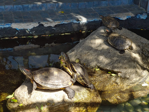 Car Wash «Classic Car Wash», reviews and photos, 18470 Devonshire St, Northridge, CA 91325, USA