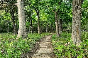 Sanctuary Woods image