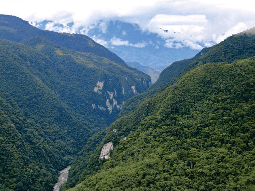 Área de Conservación Bosque Montano de Carpish,