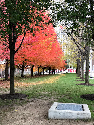 Park «Millennium Park», reviews and photos, 201 E Randolph St, Chicago, IL 60602, USA