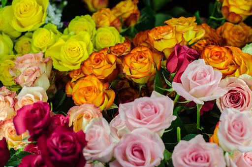 Florist «Flowermart Florist», reviews and photos, 185 E Indiantown Rd #221, Jupiter, FL 33477, USA