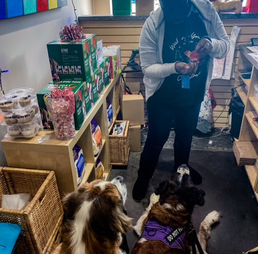 Pet Supply Store «Natural Pawz - Vintage Park», reviews and photos, 142 Vintage Park Blvd, Houston, TX 77070, USA