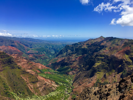 Travel Agency «Hawaiian Travel», reviews and photos, 5005 W Royal Ln #294, Irving, TX 75063, USA