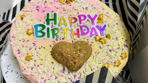 Pet Supply Store «Haute Dogs Boutique & Barkery», reviews and photos, 507 Georgia St, Vallejo, CA 94590, USA