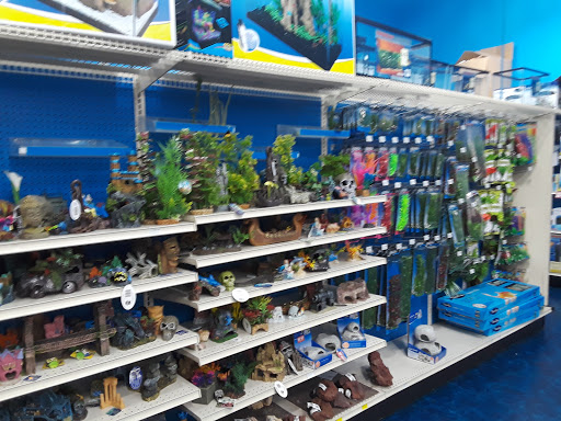 Pet Supply Store «Pet Supermarket», reviews and photos, 4316 Commercial Way, Spring Hill, FL 34606, USA