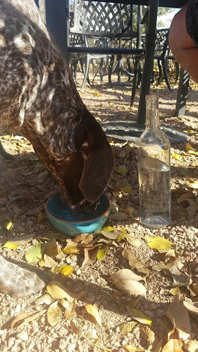 Winery «Fiesta Winery 290», reviews and photos, 6260 US-290, Fredericksburg, TX 78624, USA