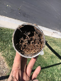 Green Ape Lawn Care - Photo 6 - Car repair in , Murrieta