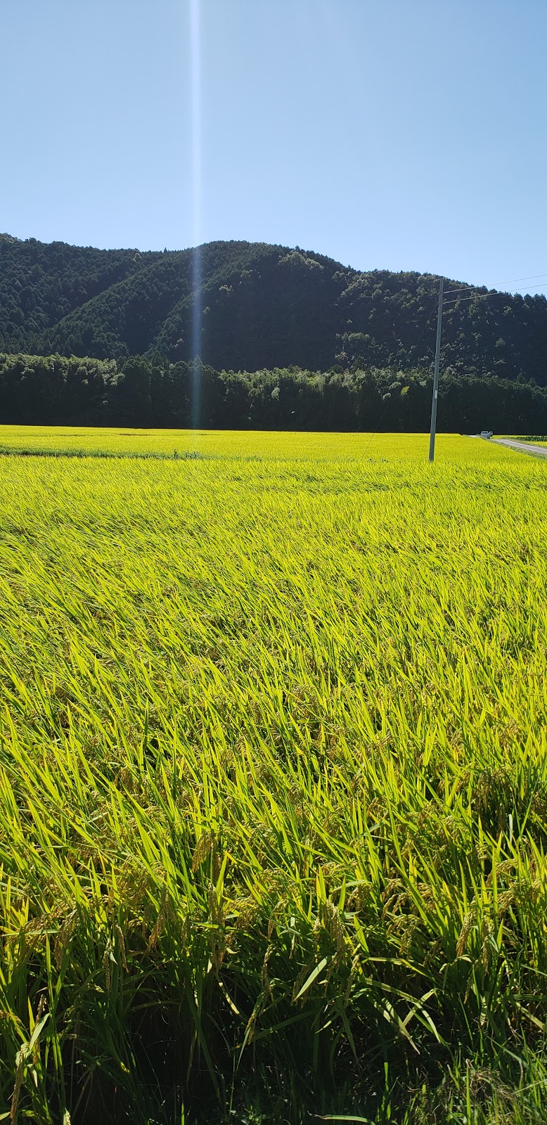 四万十川ほとりの宿