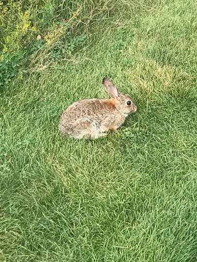 Golf Club «Omni Interlocken Golf Club», reviews and photos, 800 Eldorado Blvd, Broomfield, CO 80021, USA