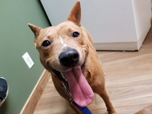 4750 S Colony Blvd # 106, The Colony, TX 75056, USA