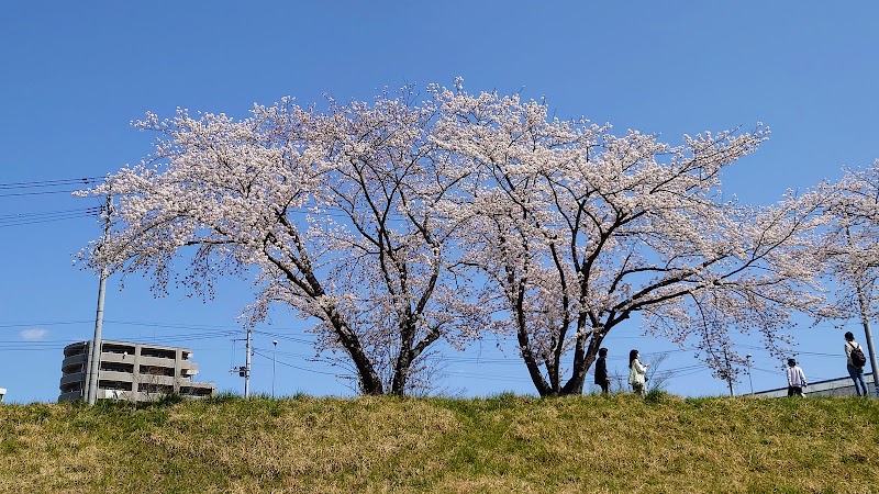 花だて内科循環器科