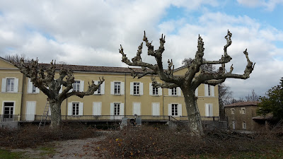 JB élagage à Beauvoisin
