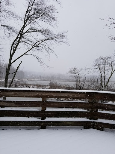 Park «Government Island», reviews and photos, 191 Coal Landing Road, Stafford, VA 22554, USA