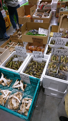 Toyosu Wholesale Fish Market