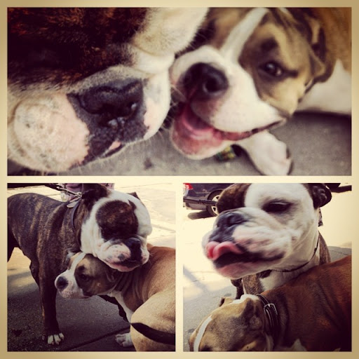 Barber Shop «Virile Barber & Shop», reviews and photos, 510 Jersey Ave, Jersey City, NJ 07302, USA