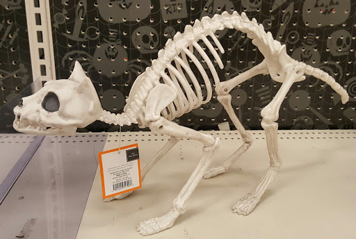 Department Store «Target», reviews and photos, 1800 W Empire Ave, Burbank, CA 91504, USA