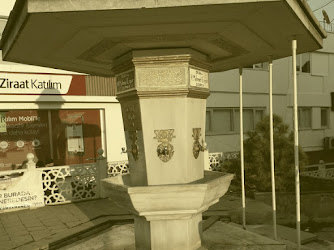 Evrenköy Muhtarlığı