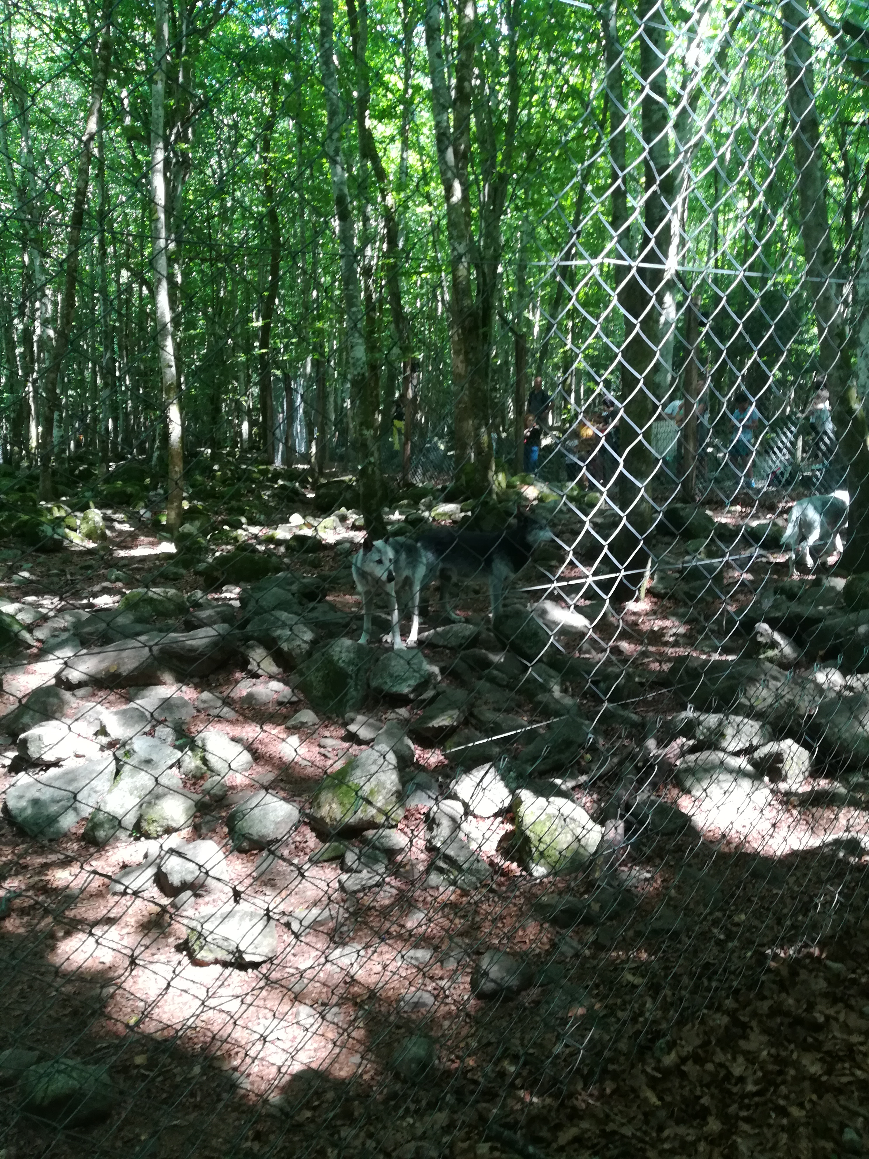 Photo n° 32 de l'avis de Audrey.� fait le 28/07/2017 à 17:11